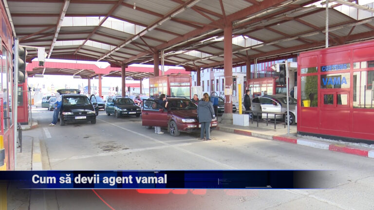 Cum să devii agent vamal