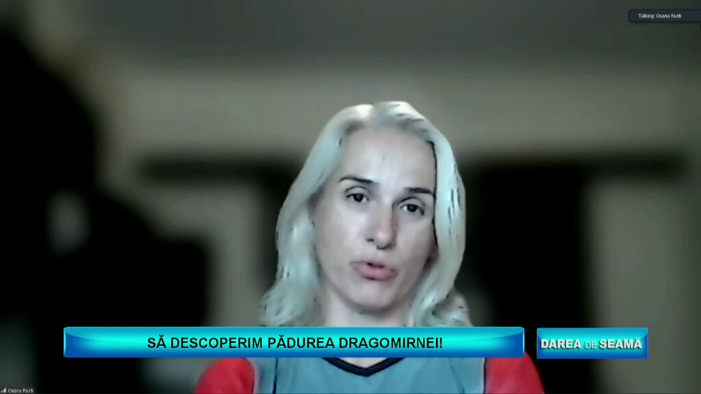 DAREA DE SEAMĂ / SĂ DESCOPERIM PĂDUREA DRAGOMIRNEI!