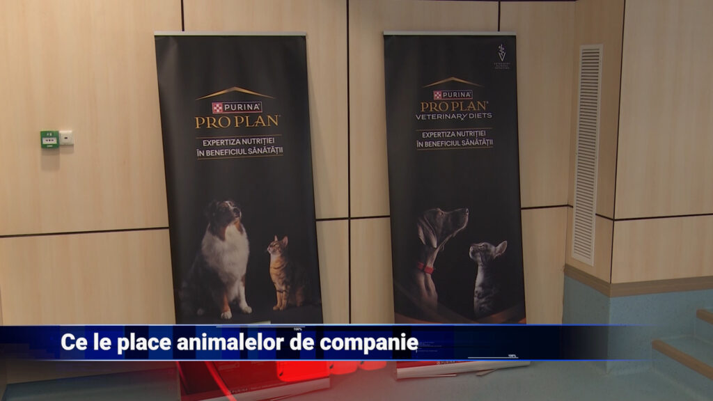 Ce le place animalelor de companie