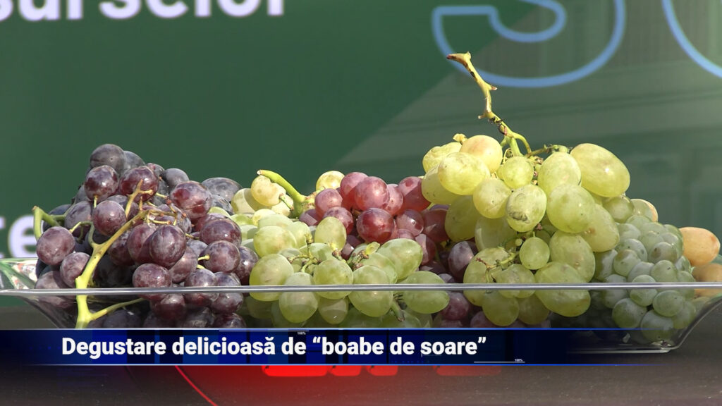 Degustare delicioasă de „boabe de soare”