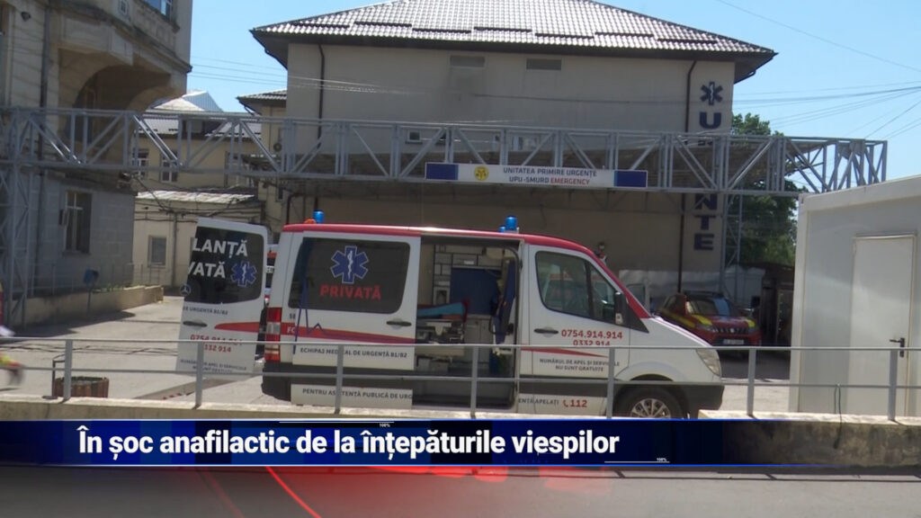 Atacat de viespi, în șoc anafilactic