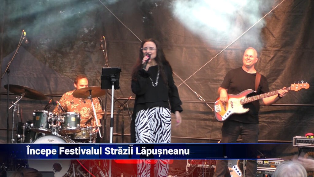 Începe Festivalul Străzii Lăpușneanu
