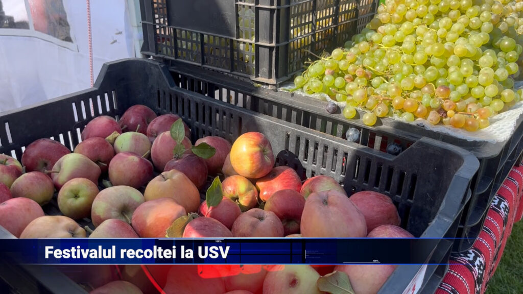 Festivalul recoltei la USV