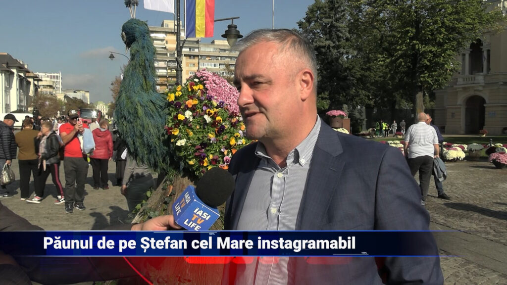 Păunul de pe Ștefan cel Mare instagramabil