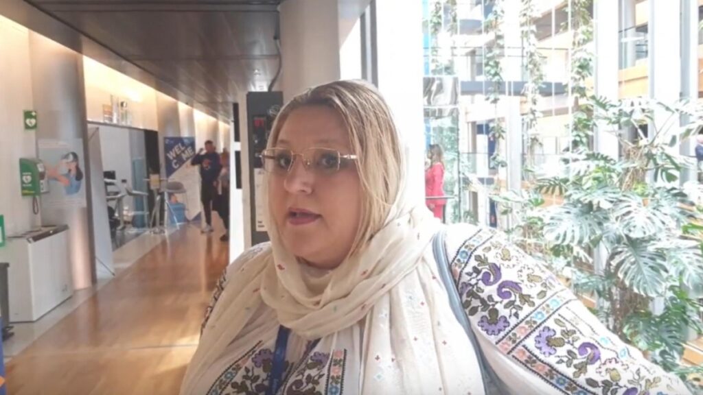 Diana Șoșoacă candidează din nou