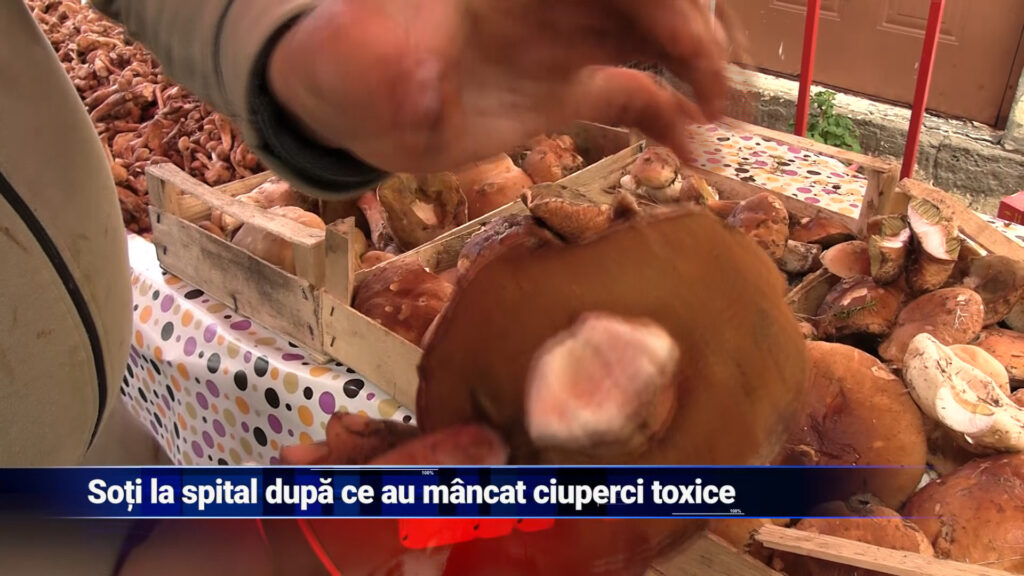 Soți la spital după ce au mâncat ciuperci toxice