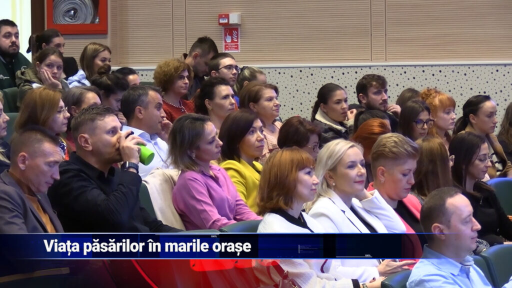 Viața păsărilor în marile orașe