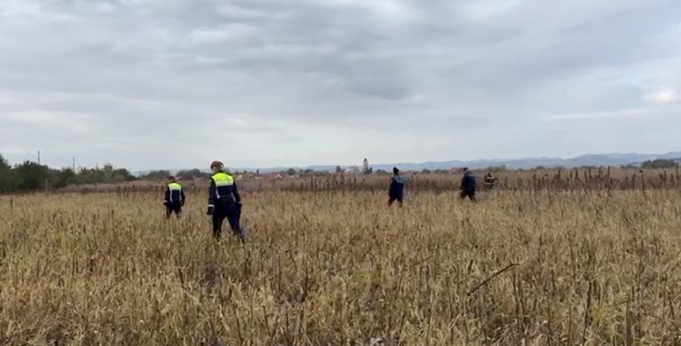 Frați dispăruți de acasă