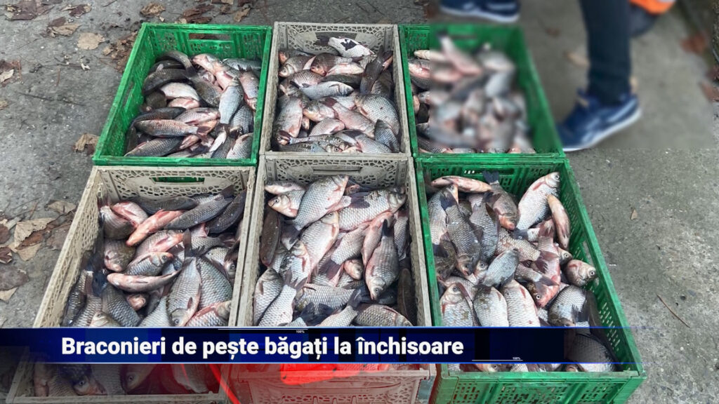Braconieri de pește reținuți