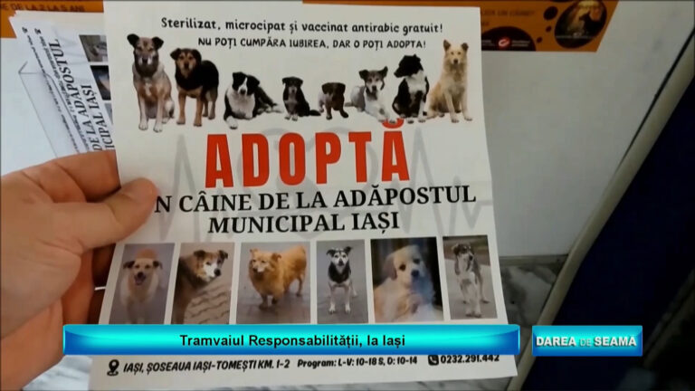 DAREA DE SEAMĂ / TRAMVAIUL RESPONSABILITĂȚII