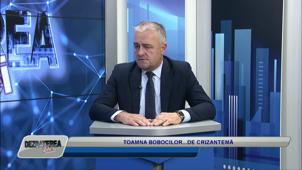 DEZBATEREA ZILEI / TOAMNA BOBOCILOR…DE CRIZANTEMĂ