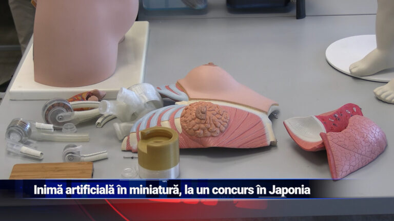 Inima artificială în miniatură, la un concurs în Japonia
