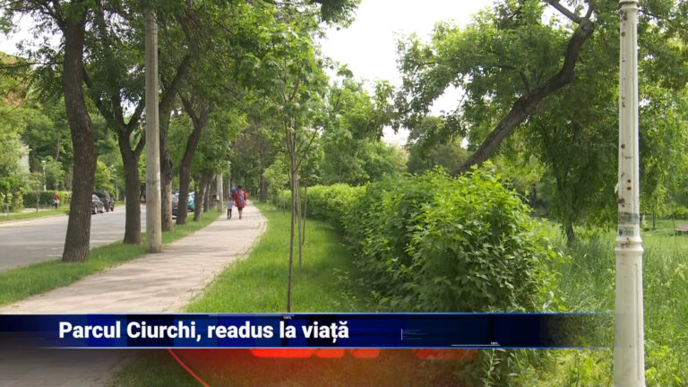 Parcul Ciurchi, readus la viață