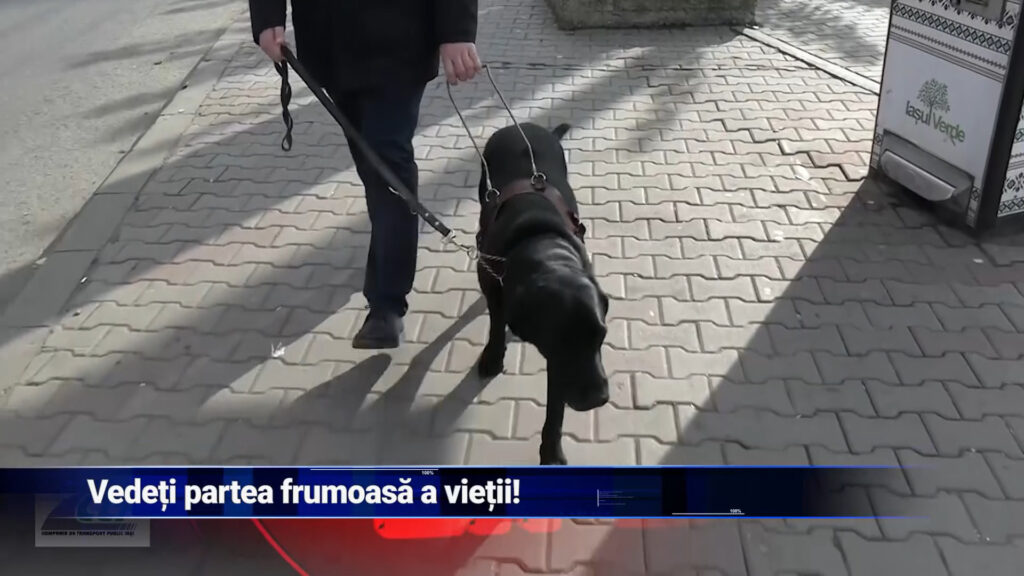 Vedeți partea frumoasă a vieții!