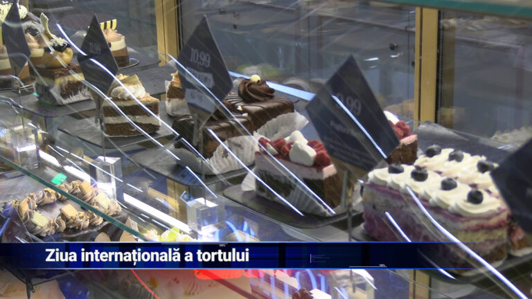 Ziua Internațională a tortului