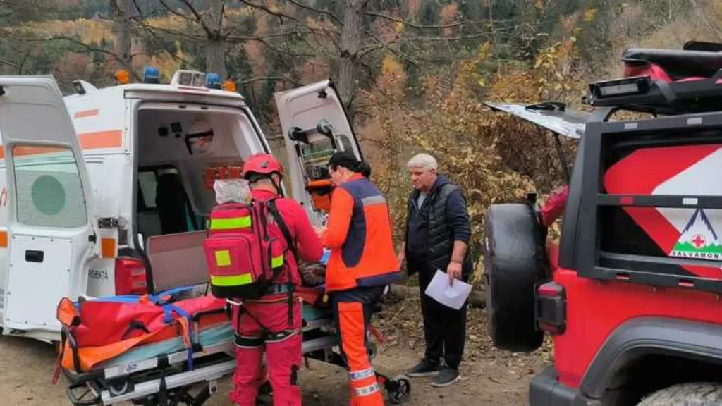 Bărbat grav rănit de un copac căzut în munții Neamț. Operațiunea de salvare a durat șase ore