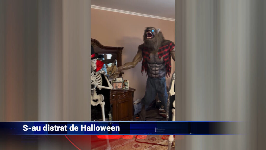 S-au distrat de Halloween