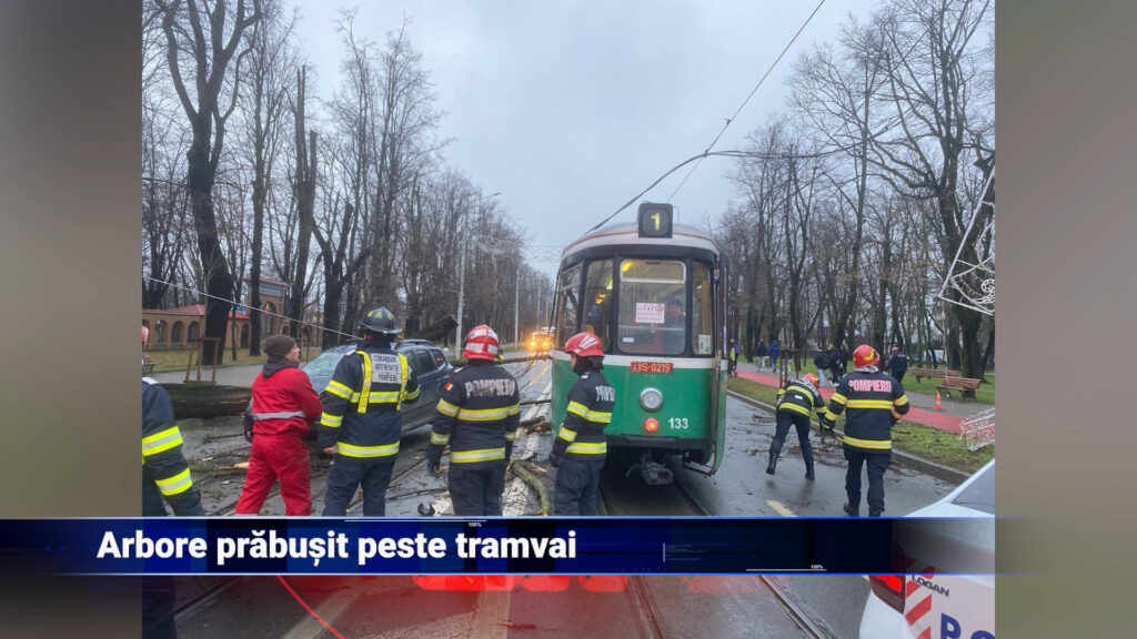 Arbore prăbușit peste tramvai
