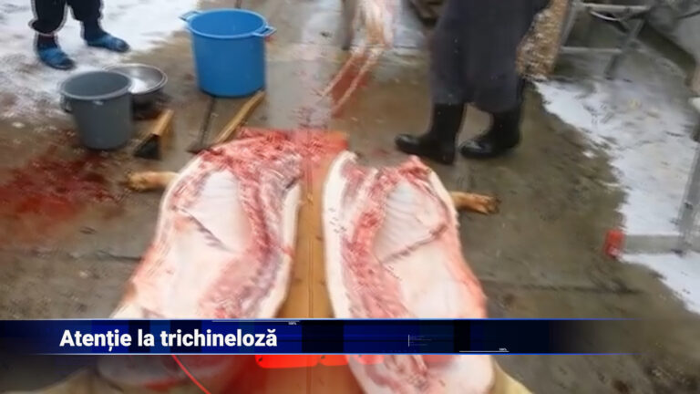 Atenție la trichineloză