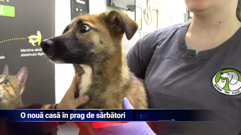 O nouă casă în prag de sărbători