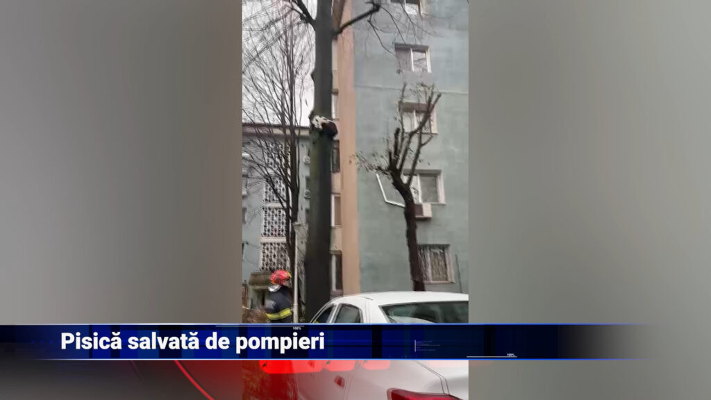 Pisica salvată de pompieri