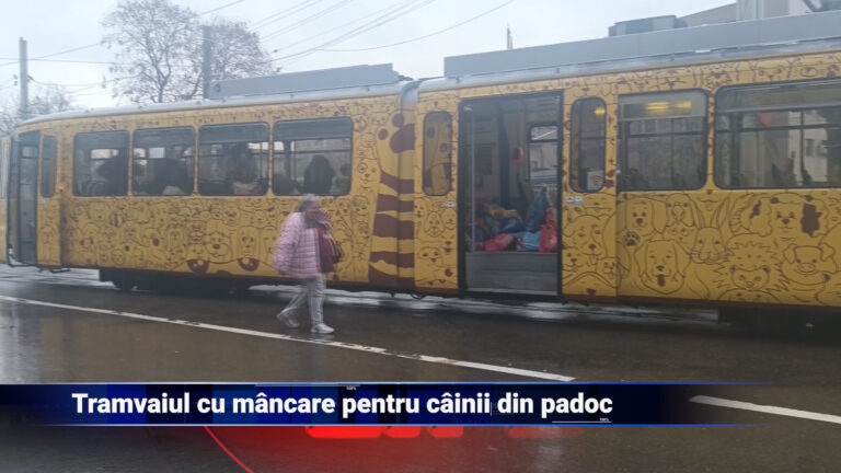 Tramvaiul cu mâncare pentru câinii din padoc