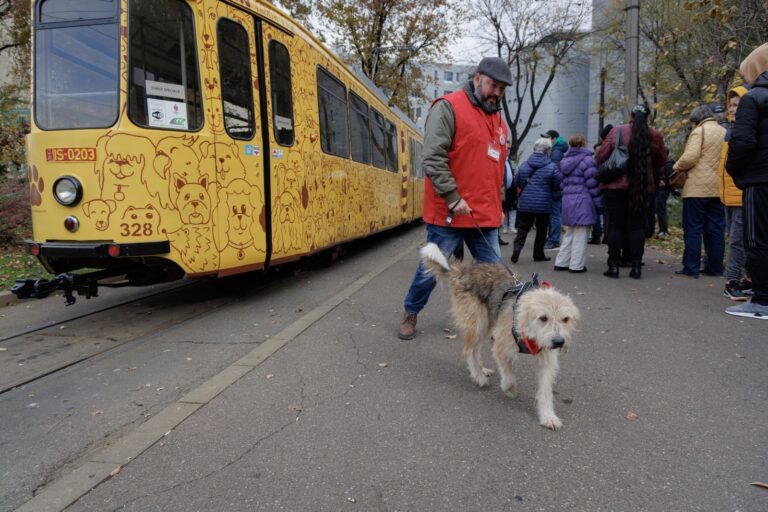 „De la depou la padoc – Să umplem cămara cățeilor!”