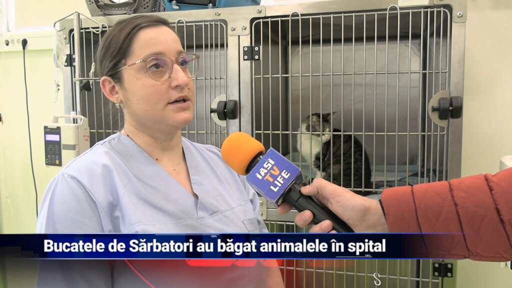 Bucatele de Sărbători au băgat animalele în spital