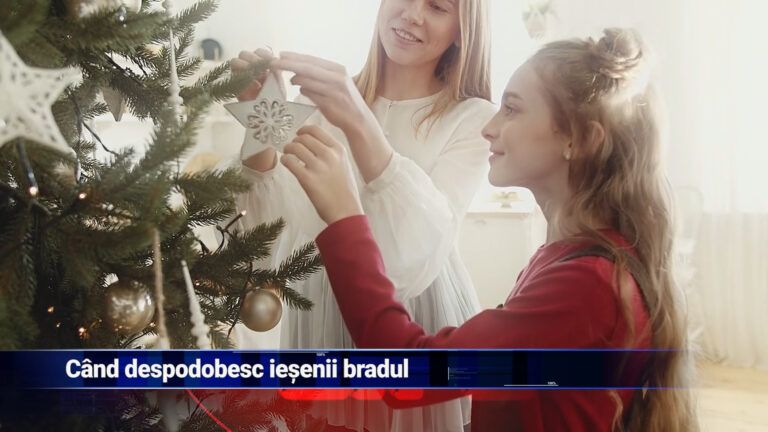 Când despodobesc ieșenii bradul