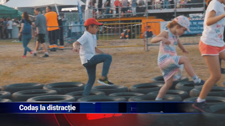 Codaș la distracție