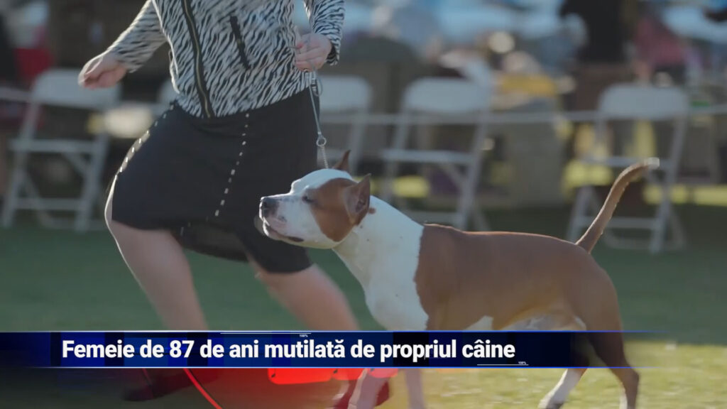 Femeie de 87 de ani mutilată de propriul câine