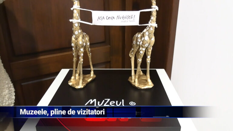 Muzeele, pline de vizitatori