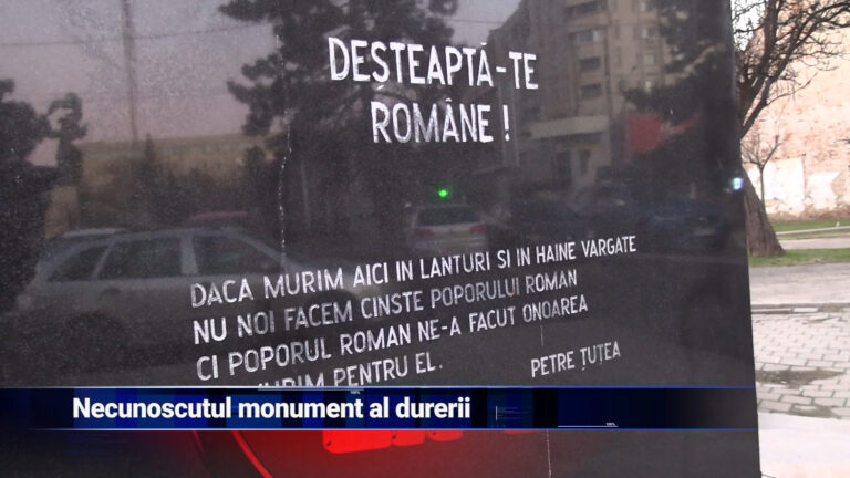 Necunoscutul monument al durerii