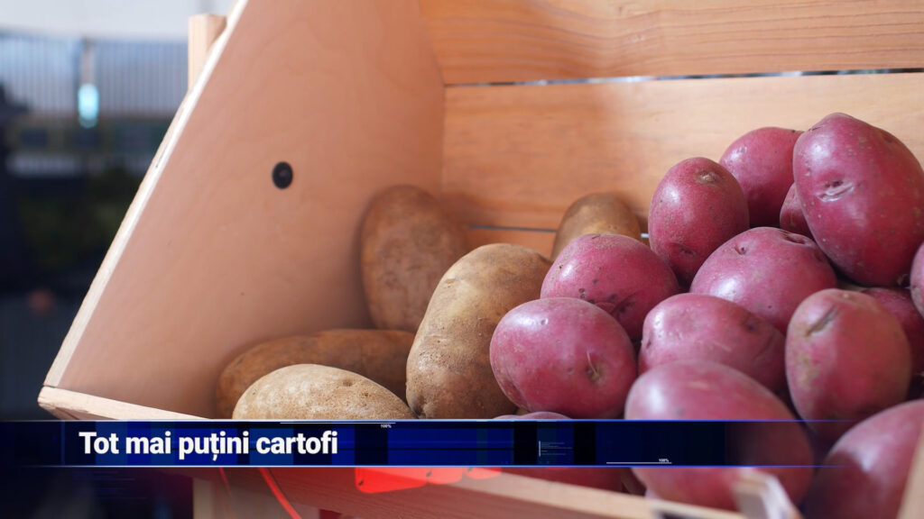 Tot mai puțini cartofi