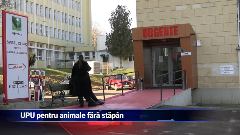 UPU pentru animale fără stăpân
