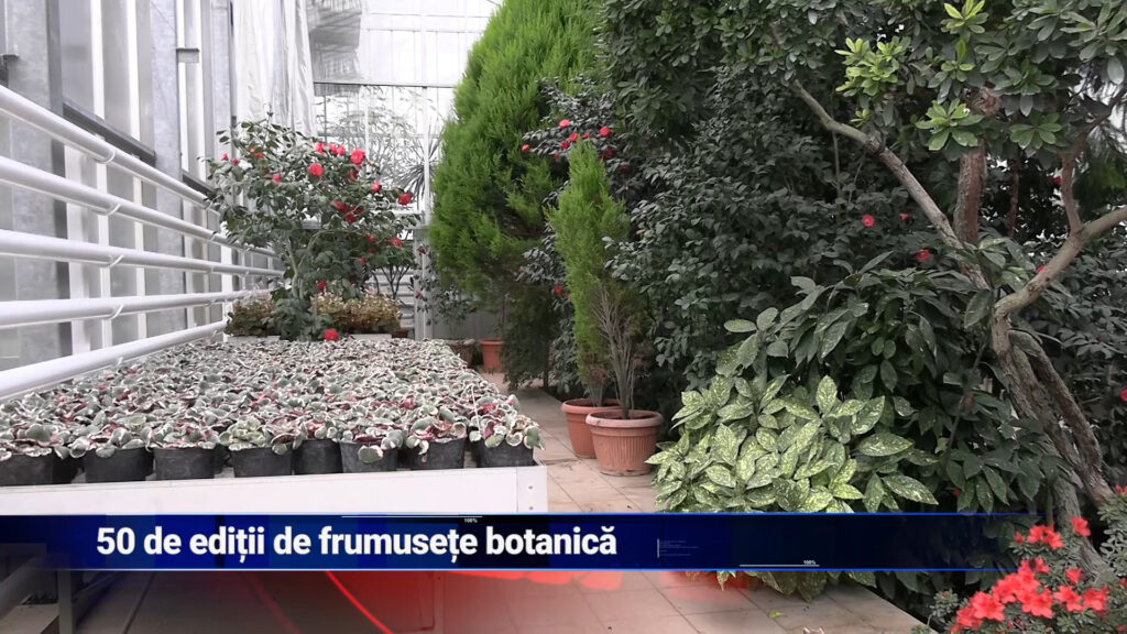 50 de ediții de frumusețe botanică