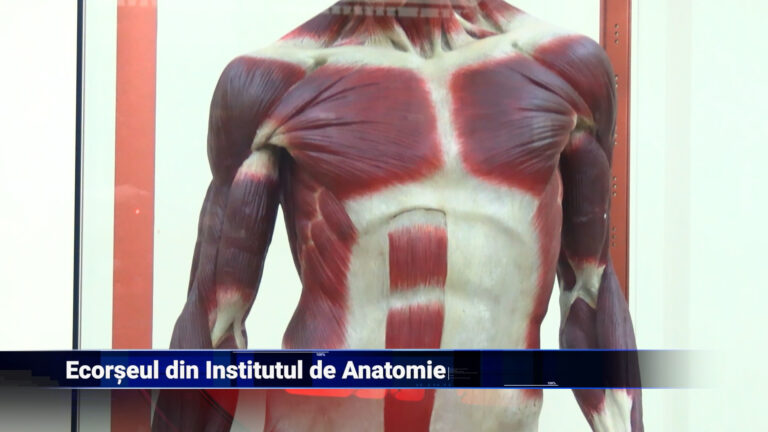 Ecorseul din Institutul de Anatomie