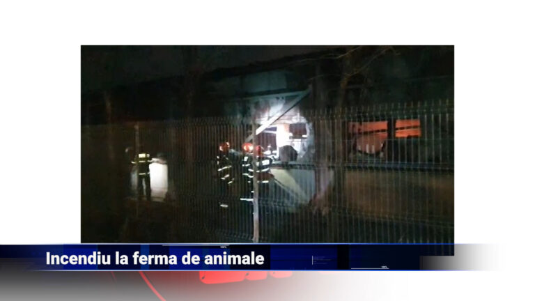 Incendiu la fermă de animale
