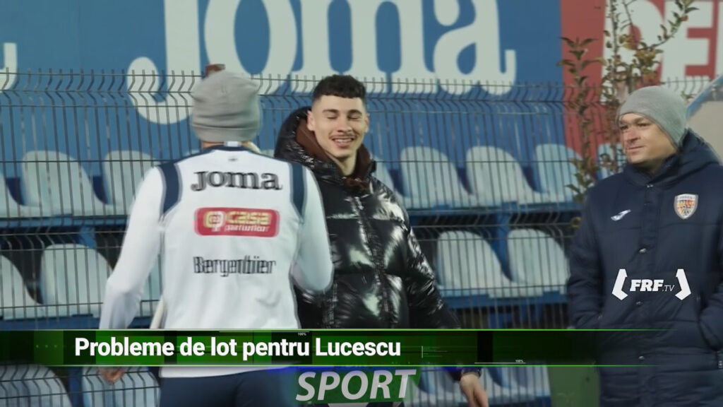 PROBLEME DE LOT PENTRU LUCESCU
