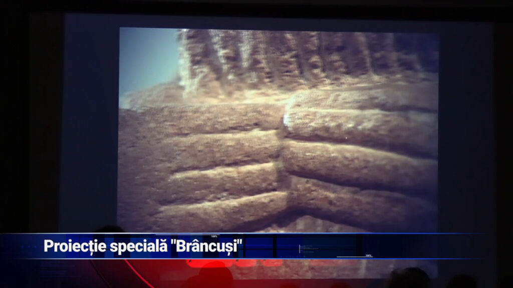 Proiecție specială „Brâncuși”