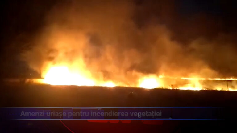 Amenzi uriașe pentru incendierea vegetației
