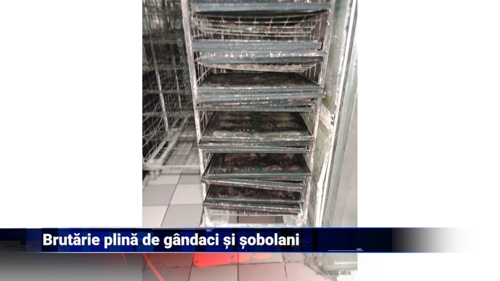 Brutărie plină de gândaci și șobolani