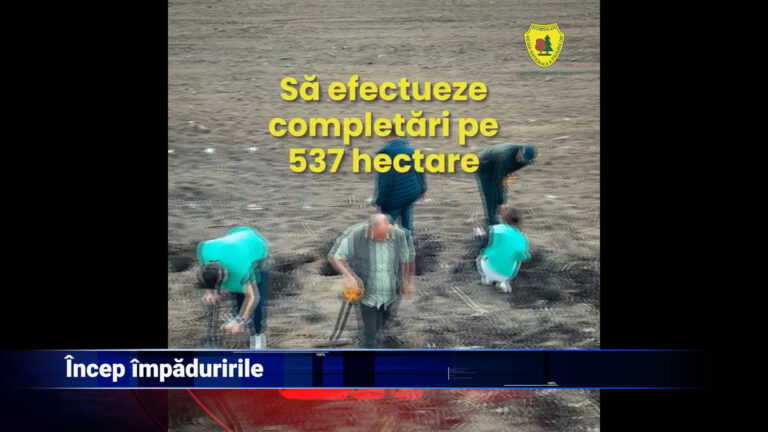 Încep împăduririle