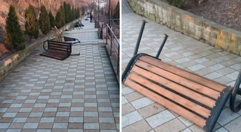 FOTO. Acte de vandalism în Pașcani: distrugeri pe aleea Scărilor Mici