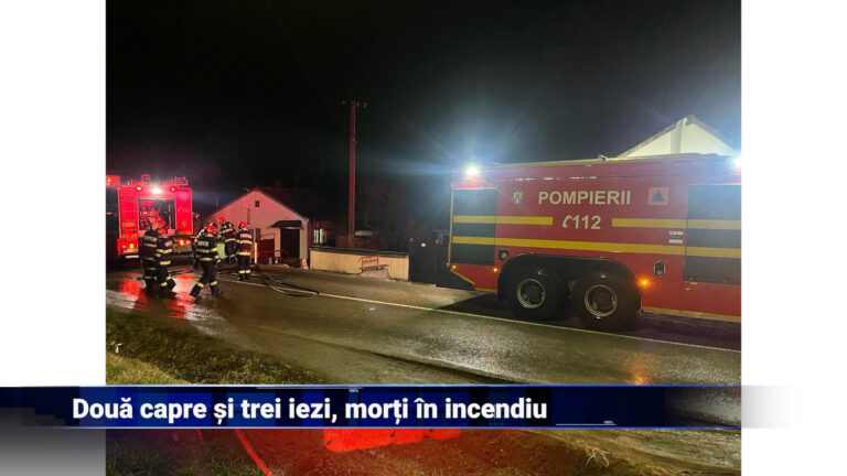 Două capre și trei iezi, morți în incendiu