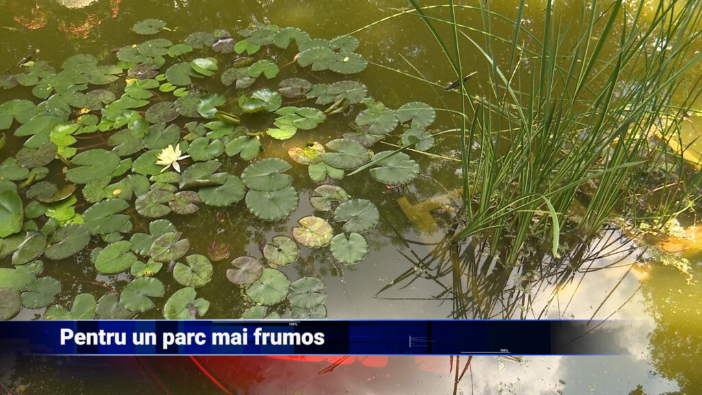 Pentru un parc mai frumos