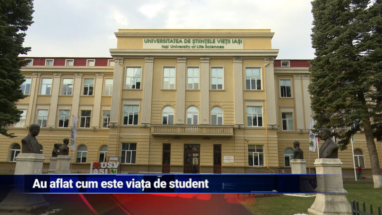 Au aflat cum este viața de student