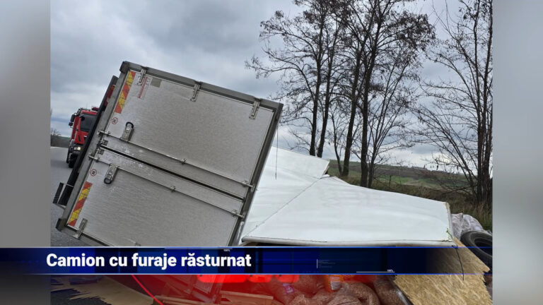 Camion cu furaje răsturnat