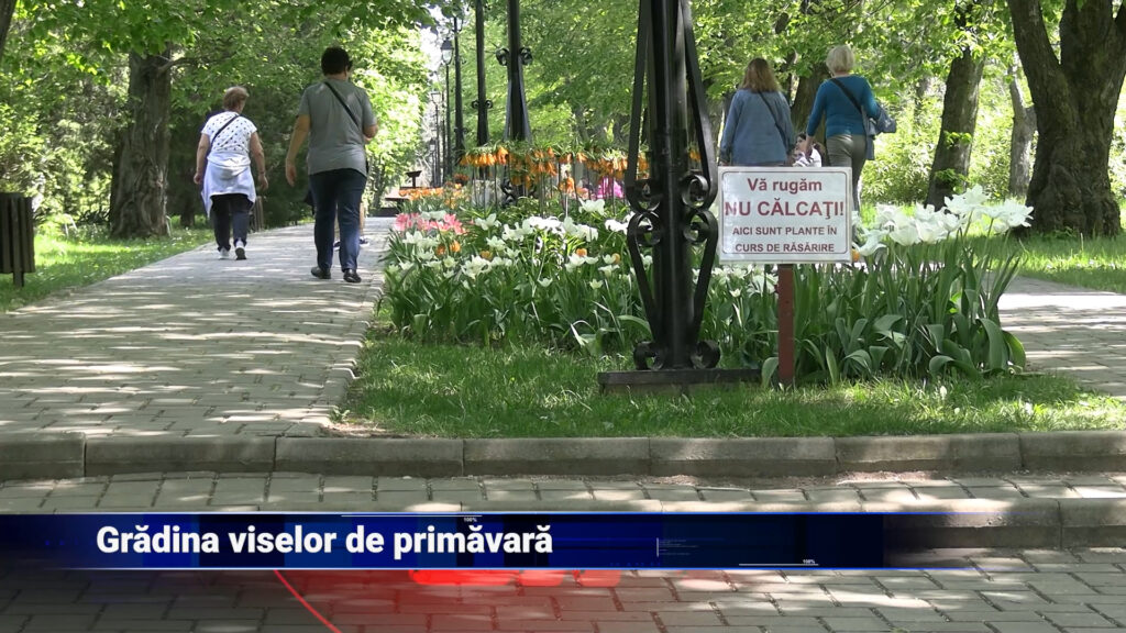 Grădina viselor de primăvară