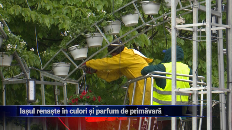 Iașul renaște în culori și parfum de primăvară